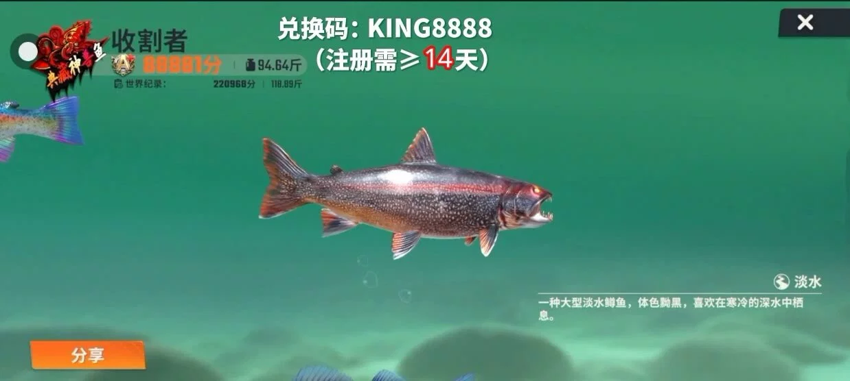 图片11