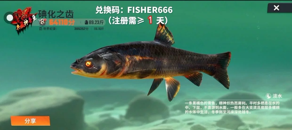 图片15