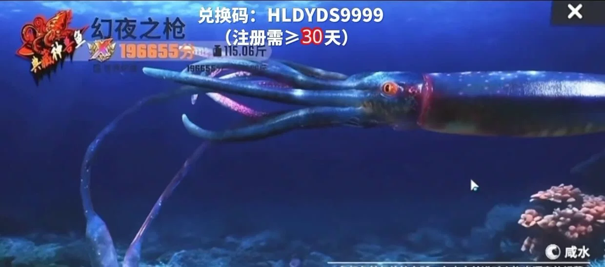 图片10