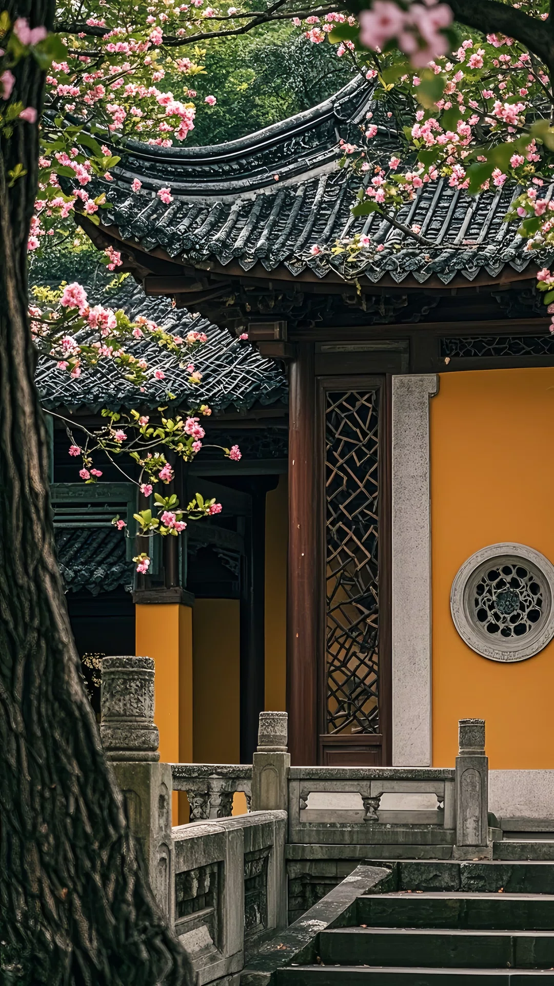 图片6