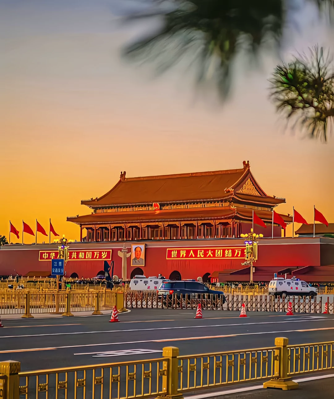 图片1