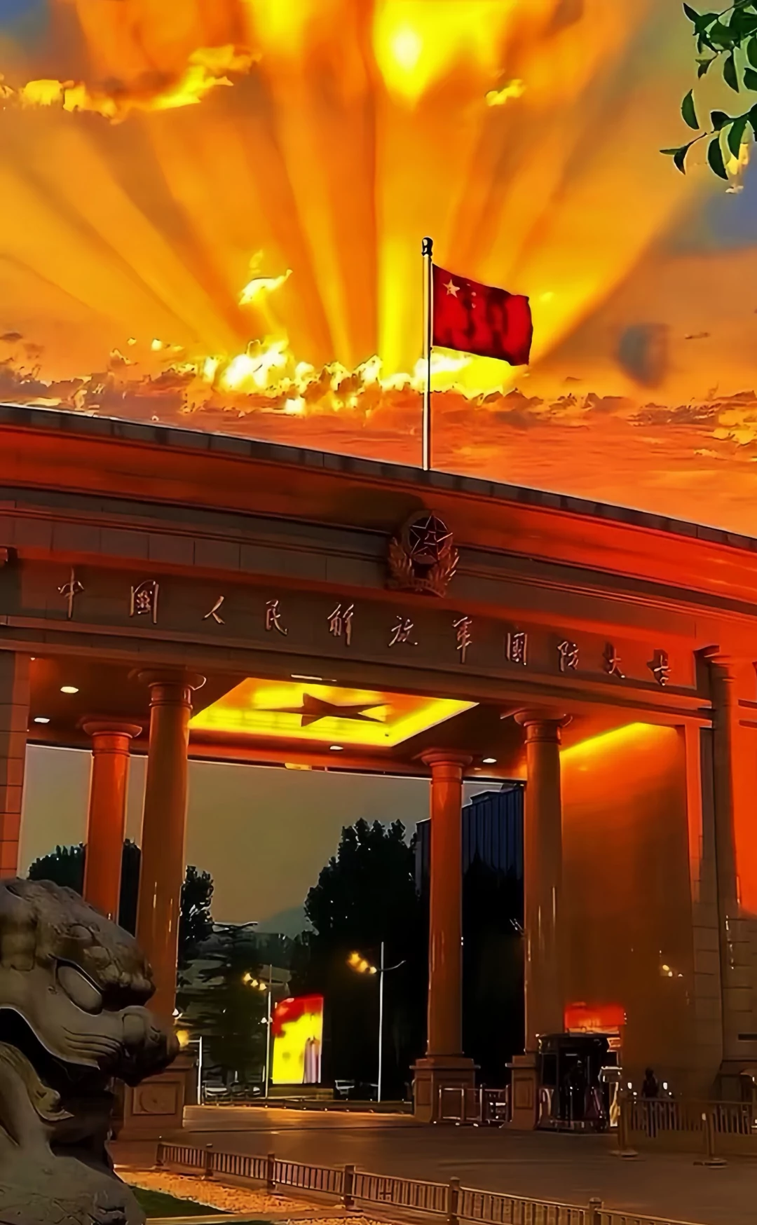 图片3