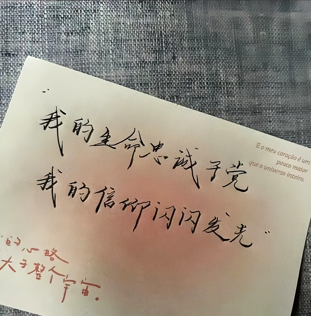 图片10