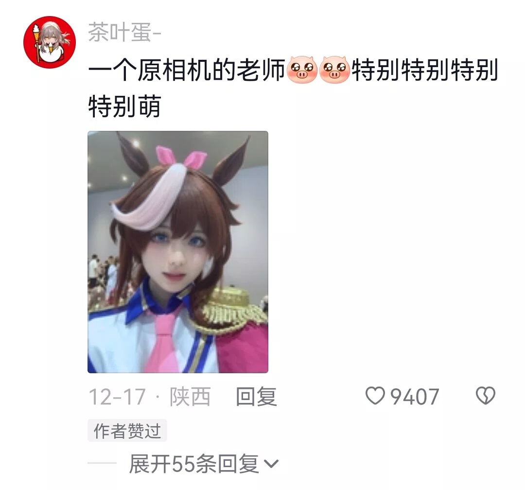 图片15