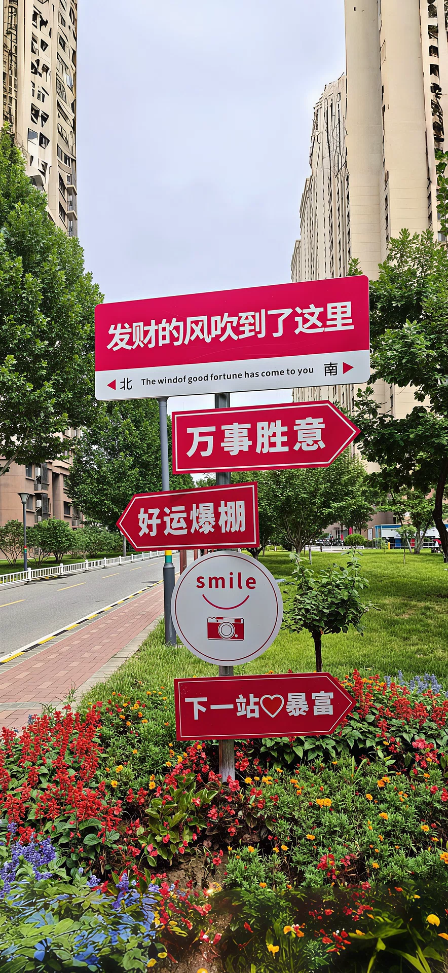 图片25