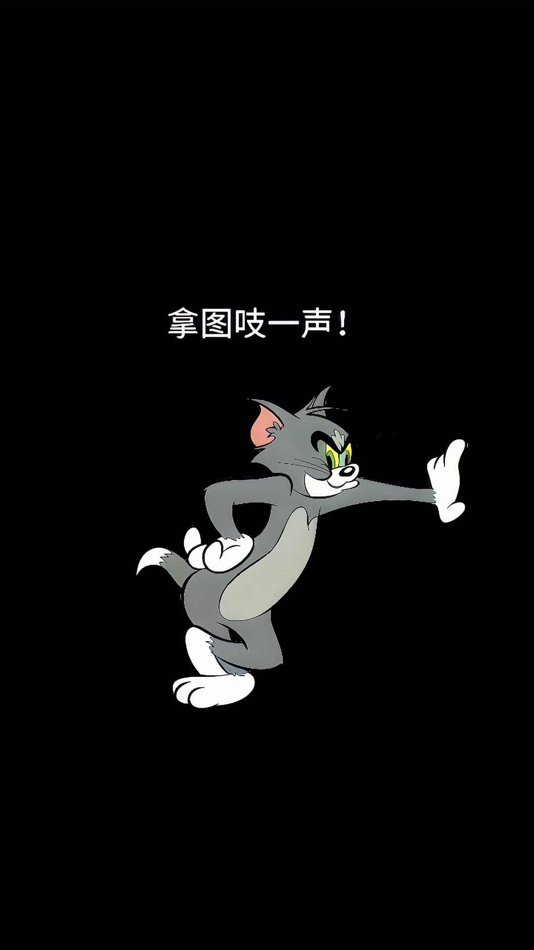 图片31