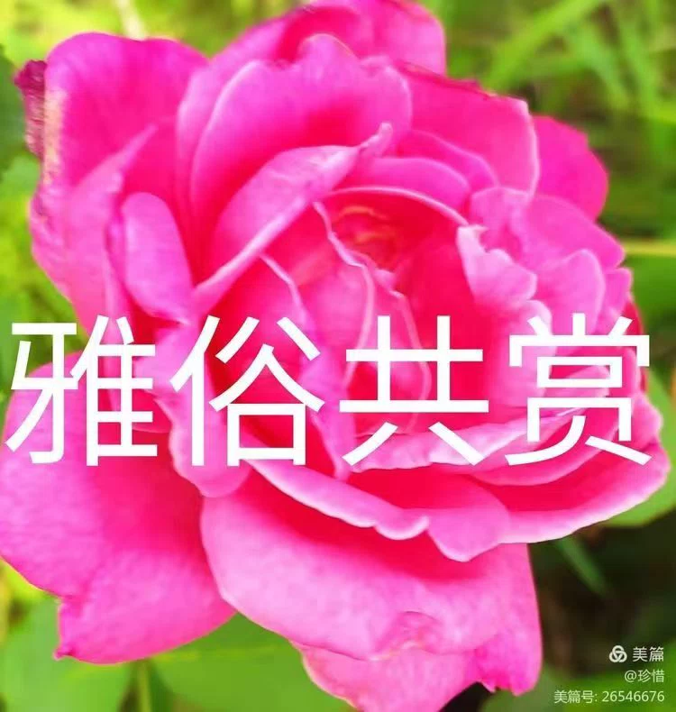 图片11