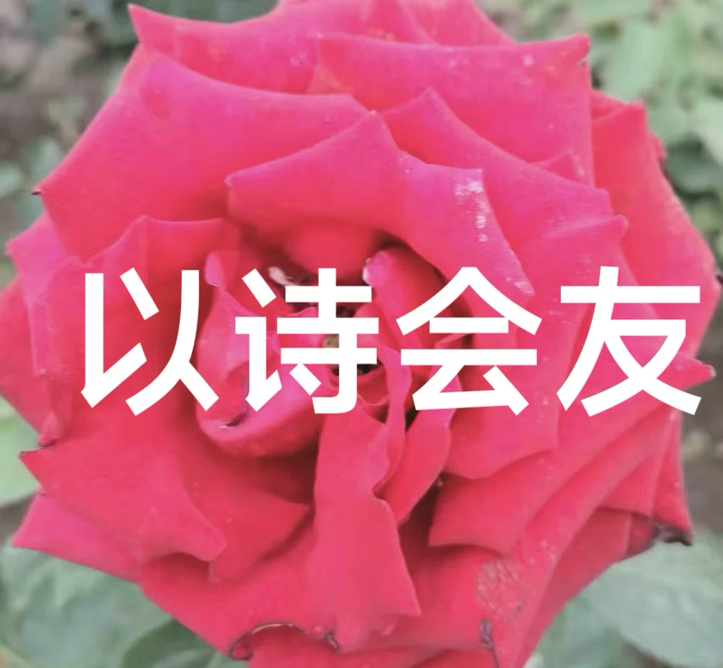 图片10