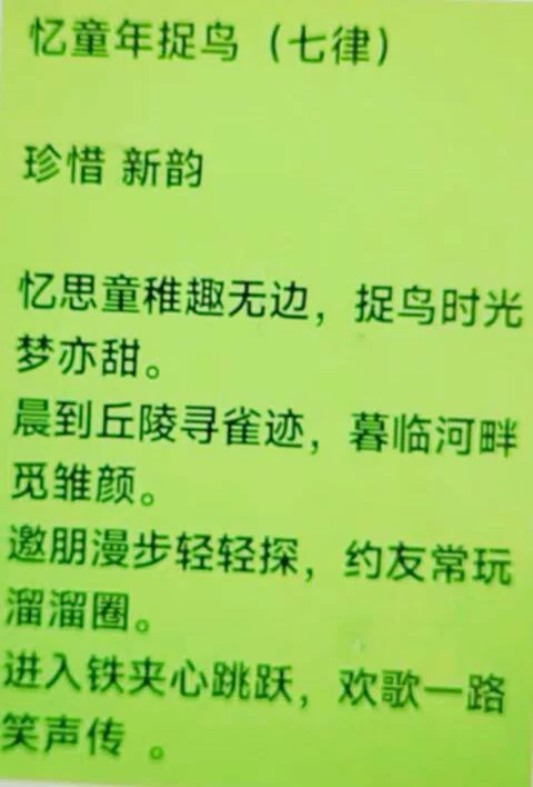 图片16