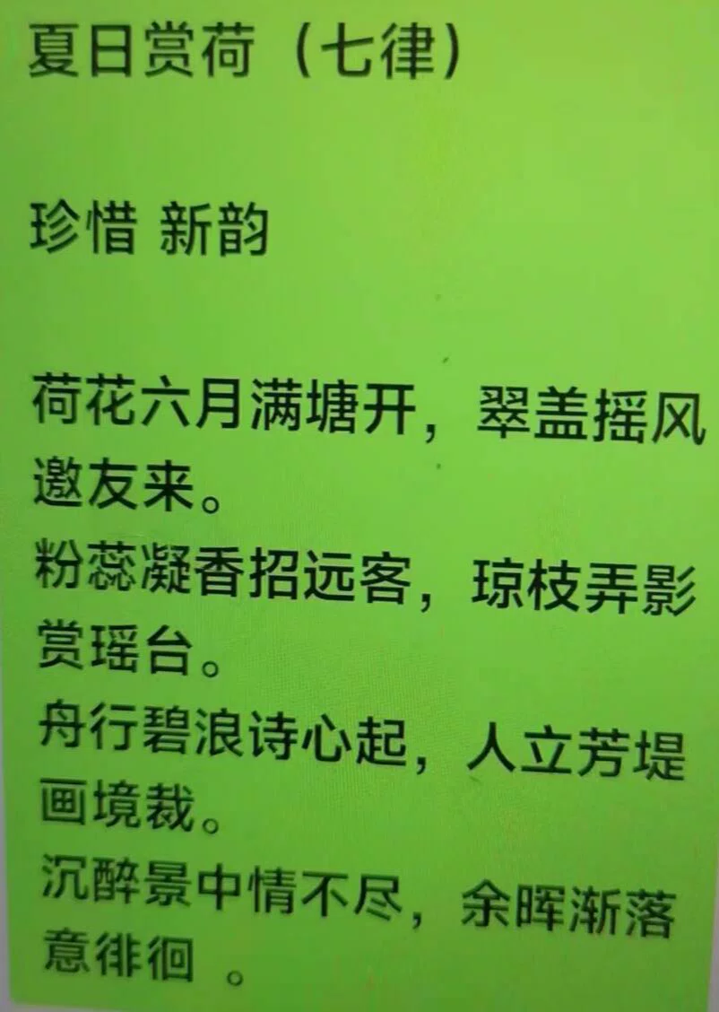 图片6