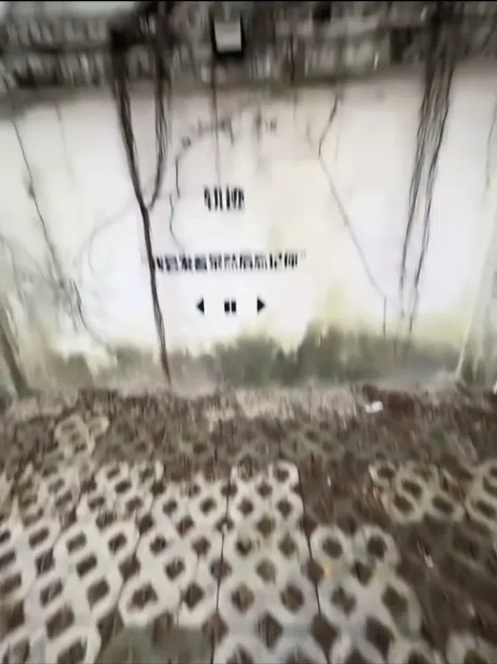 图片25