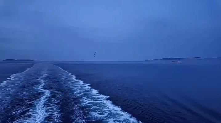 图片30