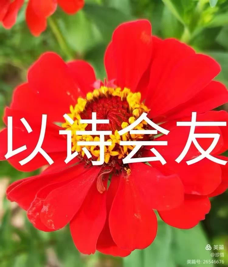 图片8