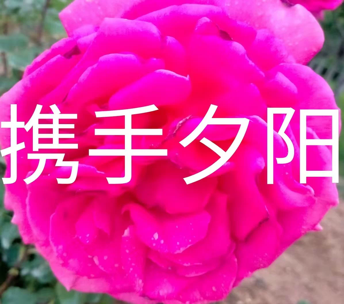 图片9