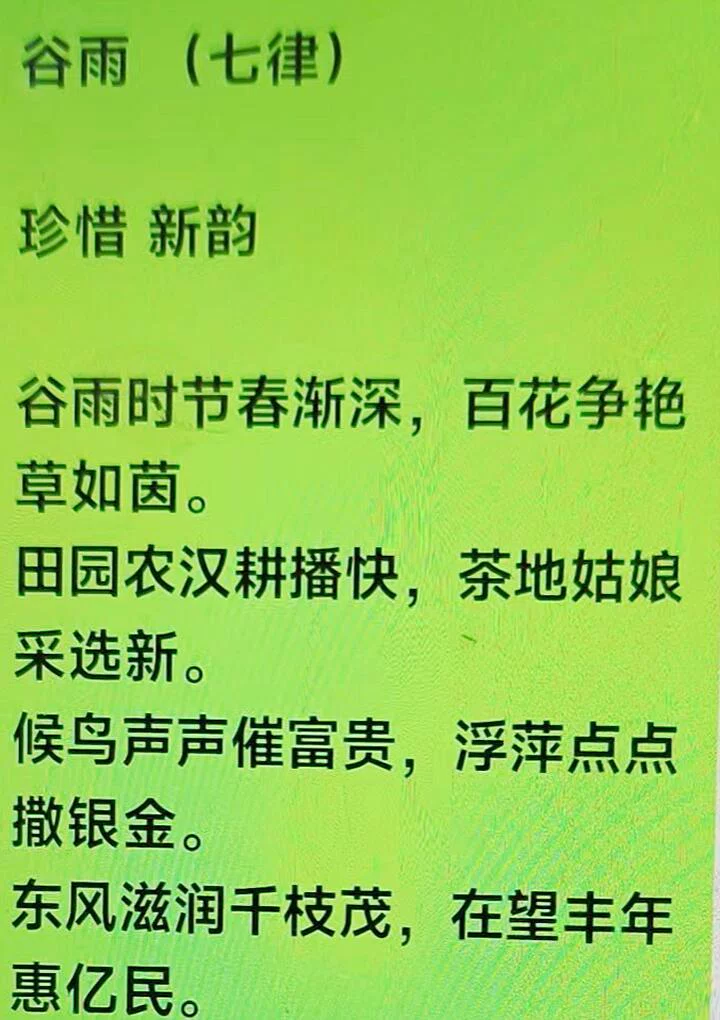 图片16