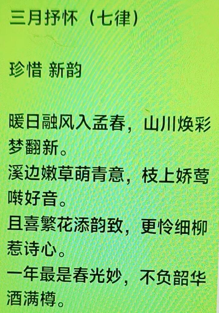 图片23