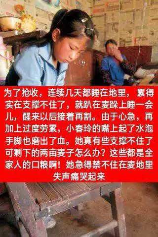 图片19