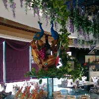 建安汇用户头像