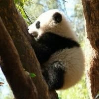 建安汇用户头像