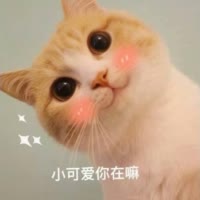 建安汇用户头像