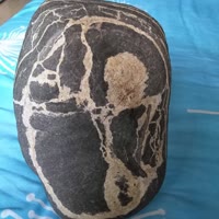 建安汇用户头像