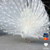 建安汇用户头像