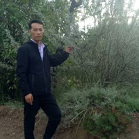 建安汇用户头像