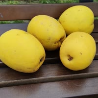 建安汇用户头像
