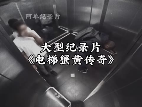 电梯蟹黄传奇