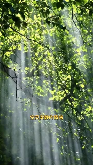 评论区摄影大赛治愈系唯美篇开启，欢迎投稿好的作品会让更多人看到#摄影 #喜爱度激励计划 #看球随手拍大片 #快手铁力神杯
