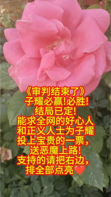 #喜爱度激励计划 #毕了个yes