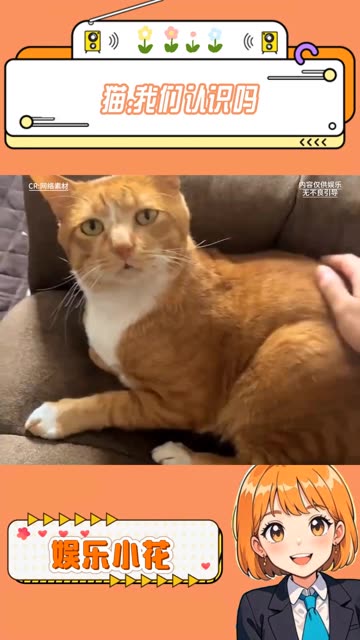 猫：不是哥们，我们很熟吗 #搞笑 #万万没想到 #集合吧光合创作者 #光合计划 