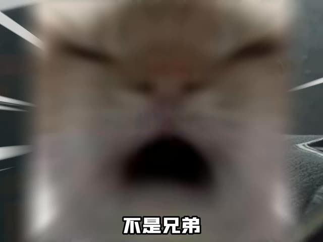 渡鸦跟哈德森是好兄弟？还是博士亲女婿？渡鸦王子的悲惨一生！ #三角洲行动 #三角洲S10裂变新赛季 #三角洲鼠期大行动 #渡鸦 