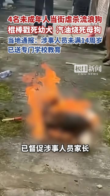 4名未成年人当街虐杀流浪狗，棍棒戳死幼犬，汽油烧死母狗，当地通报：涉事人员未满14周岁，已送专门学校教育